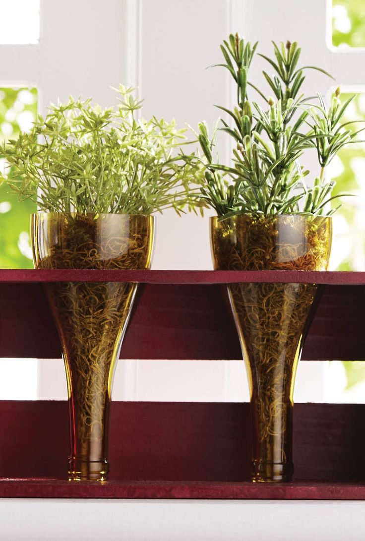Two wine glasses with herb plants on a shelf.