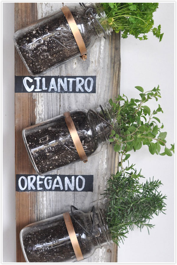 Three mason jars with herbs in them displayed as a herb garden.