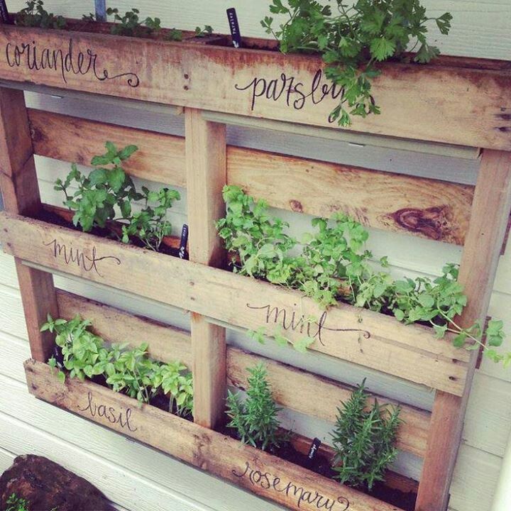 Use pallets to create the herb garden of your dreams (neatologie.com)
