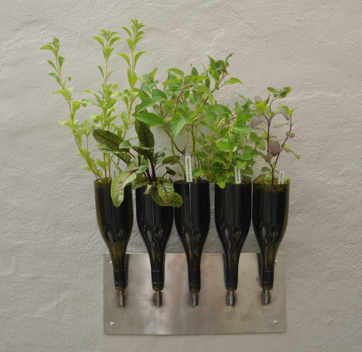 Give your kitchen a fresh look with a modern herb garden design (urbangreenspace.blogspot.com)