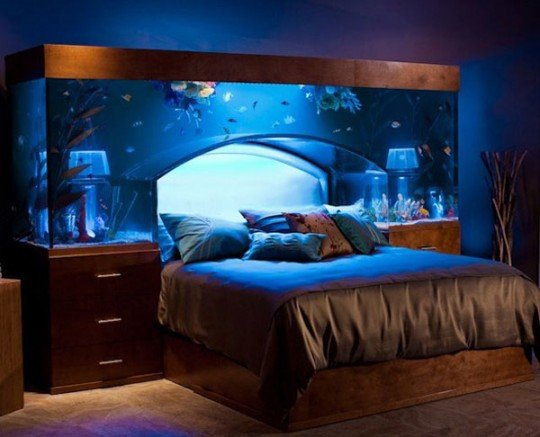 A bedroom with a unique fish tank as a headboard.