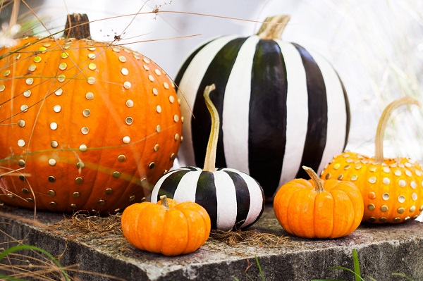 A variety of decorated pumpkins for fall decoration