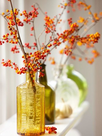 Vases with berries and leaves on a window sill are essential for Fall.