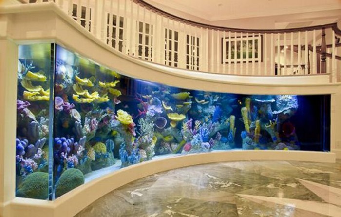 elegant and uncommon entryway with aquariums