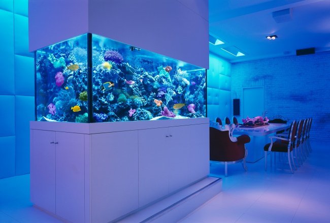 A dining room with an aquarium centerpiece.