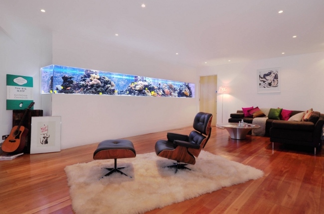 modern and minimalistic aquariums can be installed on the wall