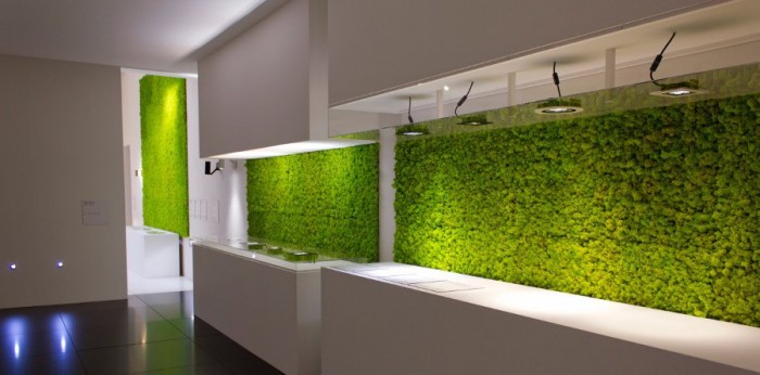 modern kitchen with a wall overed with grass