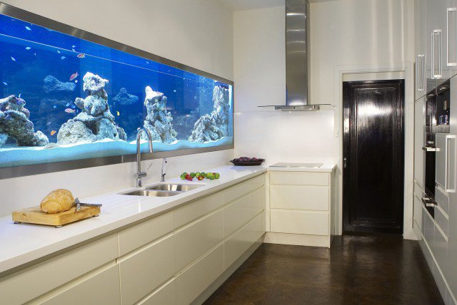 A kitchen with a stunning aquarium wall display.