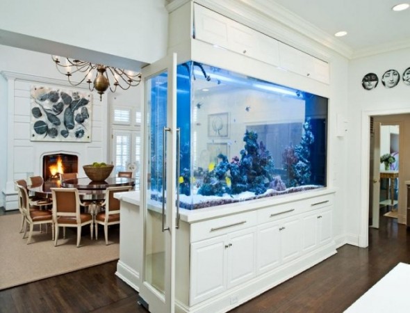 A kitchen with an aquarium in the middle of the room.