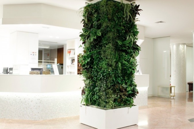 unique column covered with plants