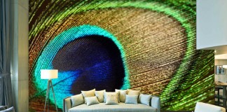 Peacock feather mural