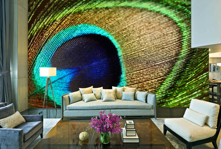 A living room with an inspiring mural of a peacock feather.