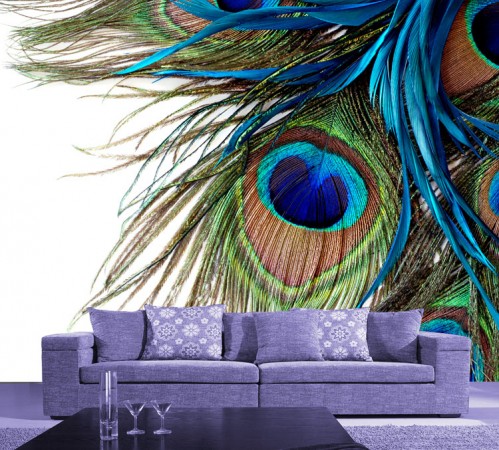 Peacock feathers adding beauty to a living room wall.