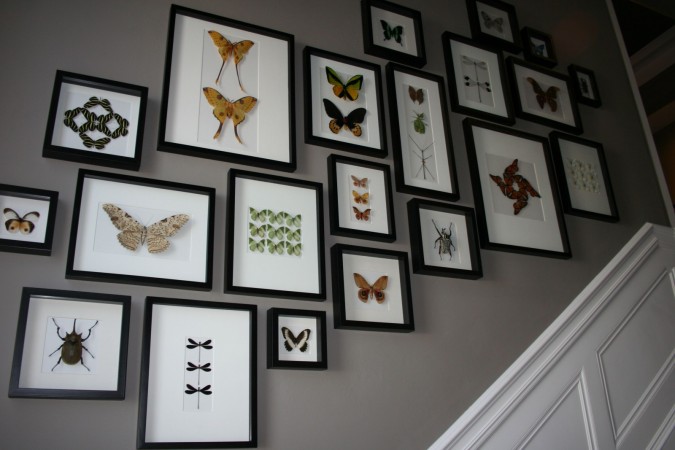 A collection of butterflies displayed in various sizes adds interest to the stairwell 