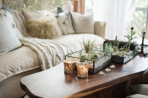 Small plant terrariums make a natural tabletop display