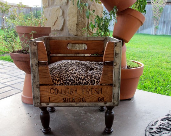 Repurpose: A wooden crate with a leopard print cushion and potted plants.