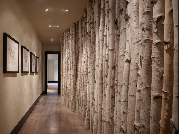 Birch logs in hallway