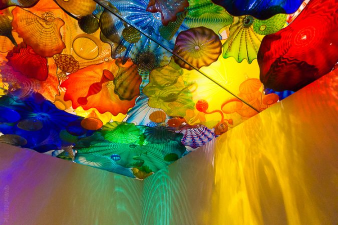 Dale Chihuly glass ceiling installation 