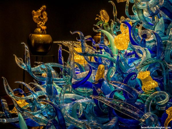 Magical glass art by Dale Chihuly 