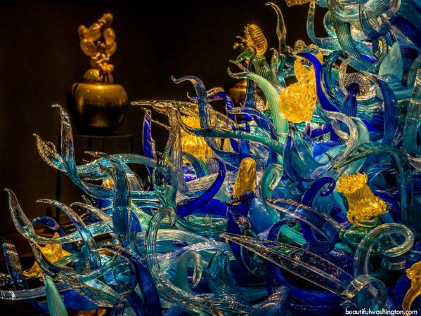 A captivating glass sculpture in a museum by Dale Chihuly.