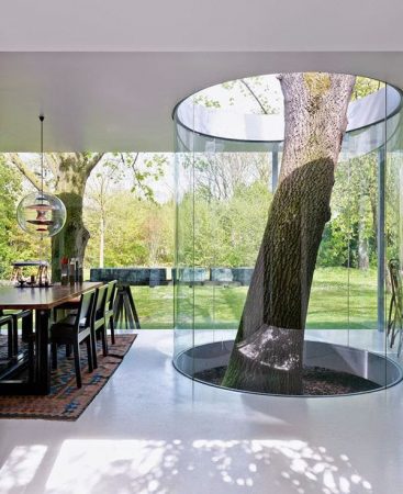 Creative Glass House with Tree