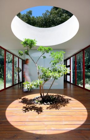 Creative Homes Built Around Trees featuring a circular room with a tree in the middle.