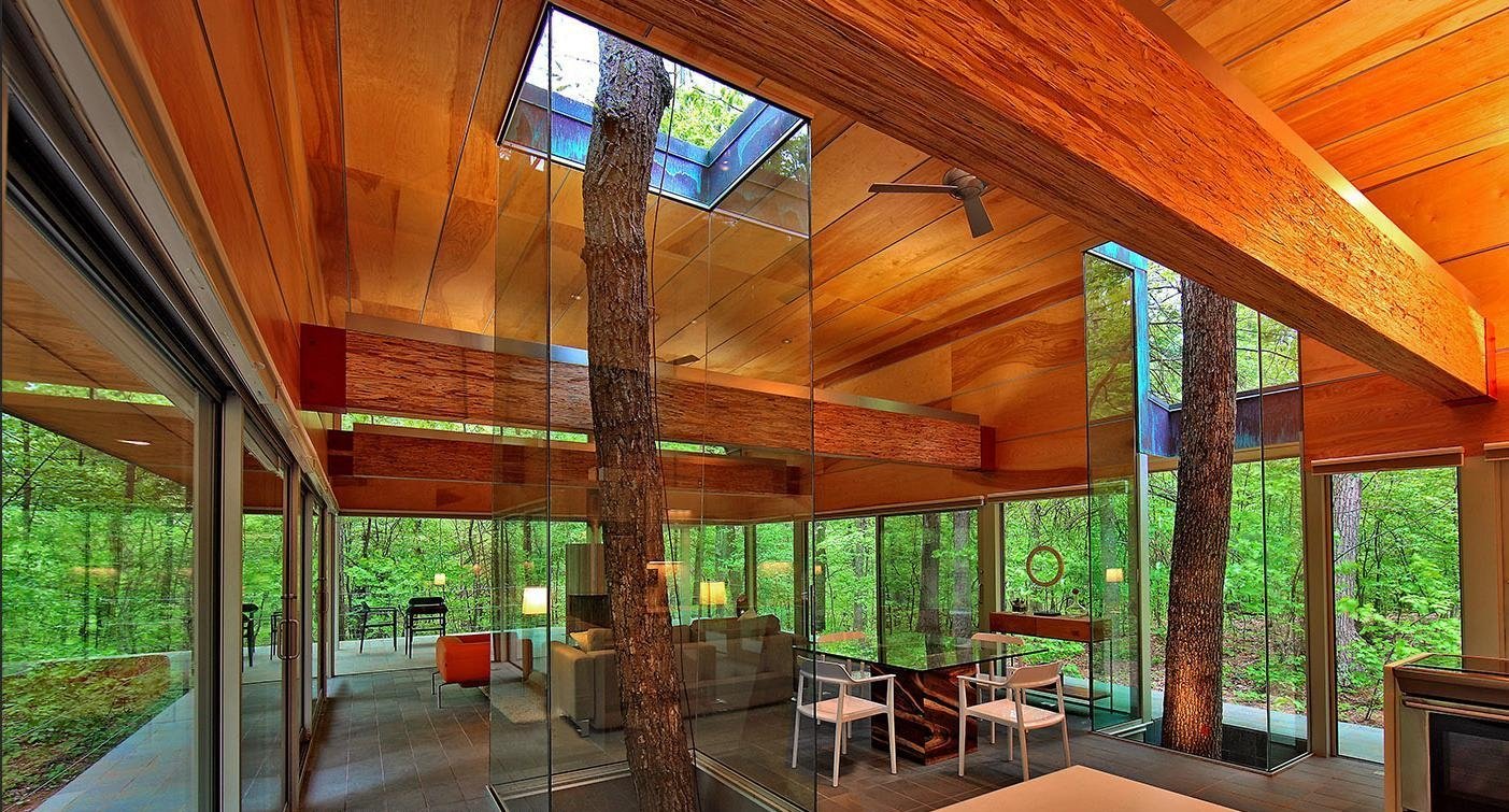 A creative home with glass walls and a tree in the background.