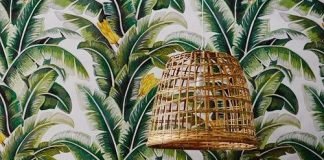 Tropical leaf print wallpaper