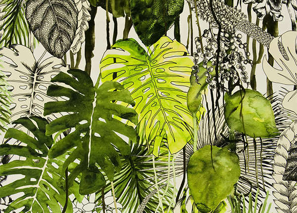 A painting of tropical leaves on a white background in the tropics.