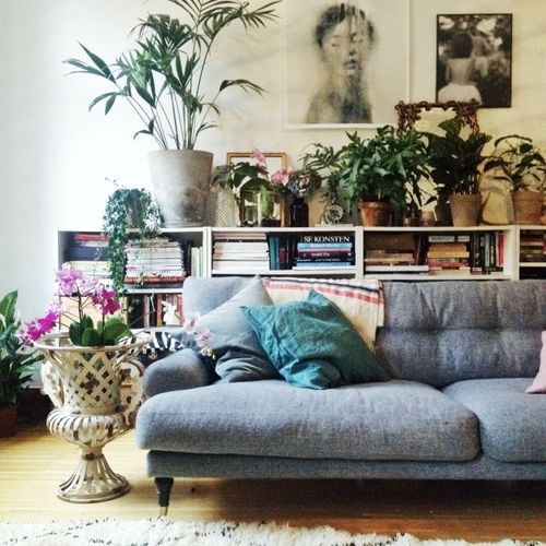 Living Room with plants and bookshelves.