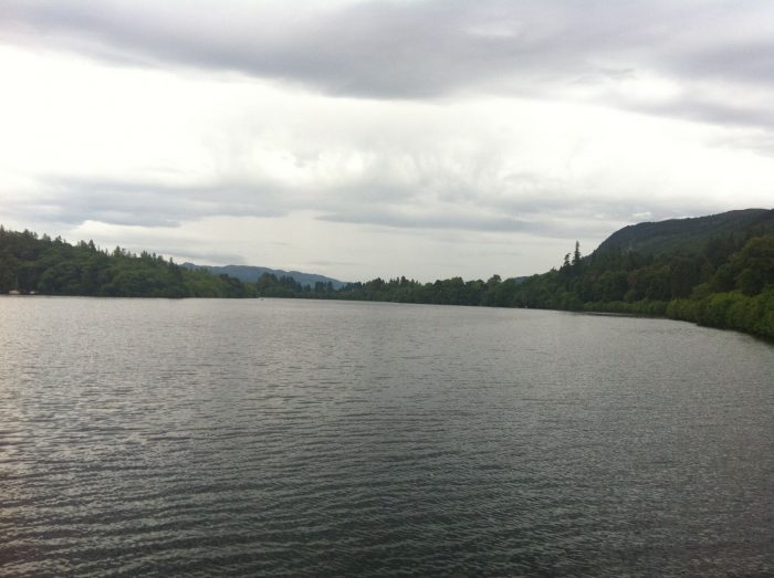 A large body of water in the middle of the Scotland forest.