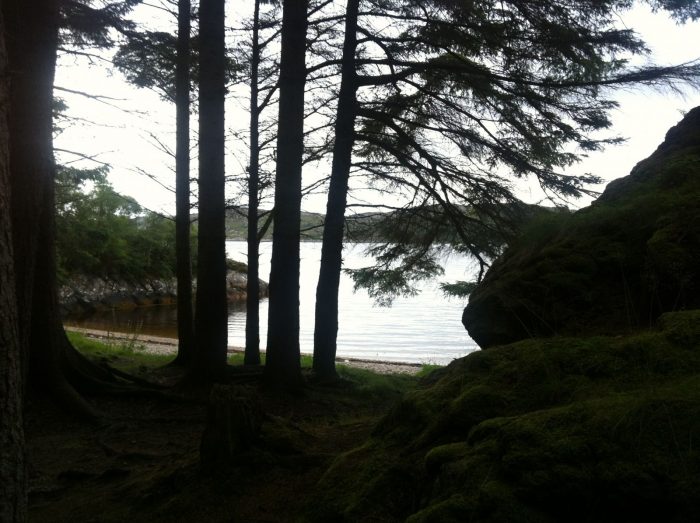 A rocky shore with trees and a body of water in Scotland.