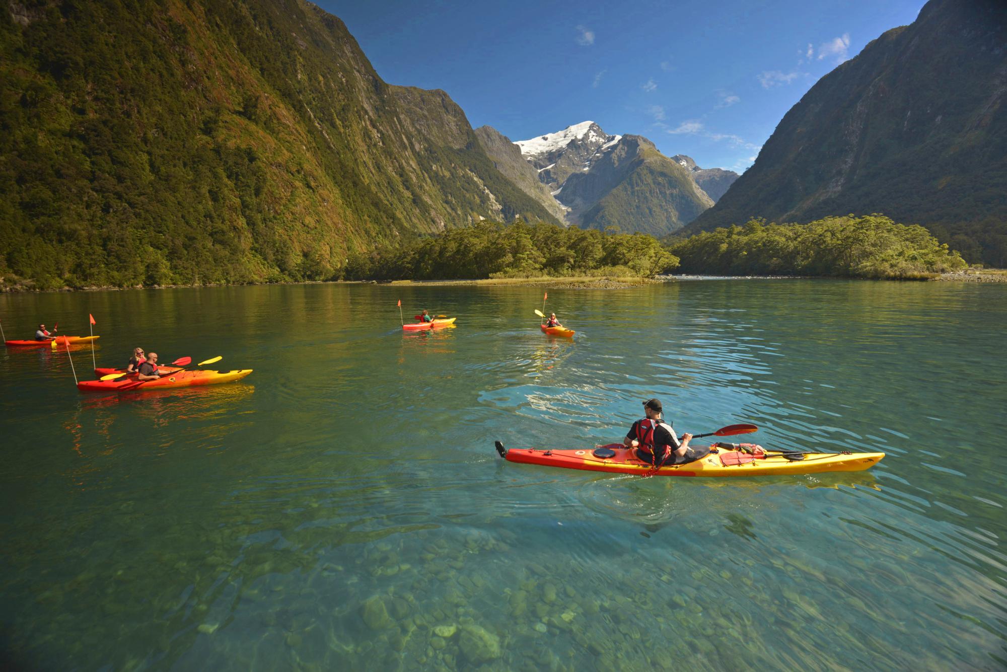 A group of people kayaking in Milford Sound with mountains in the background.