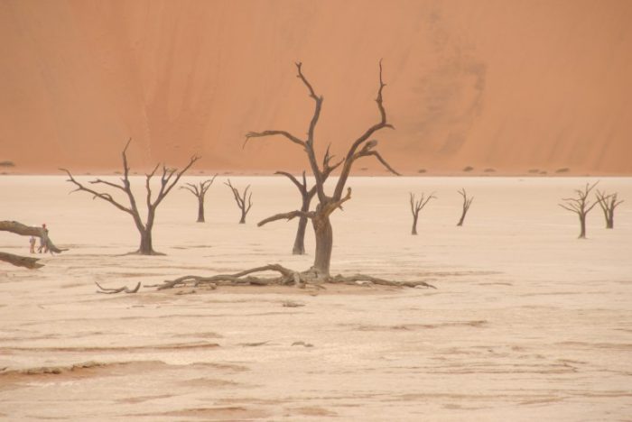 Sossusvlei, clay pan with red dunes and dead trees, Namibia