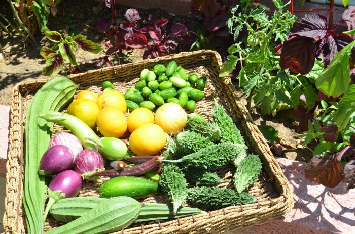 A wicker Earth-filled basket of vegetables.