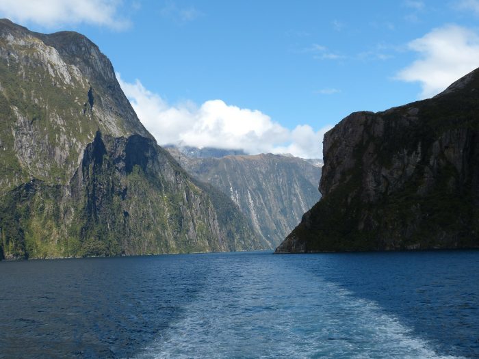 A boat on Milford Sound.