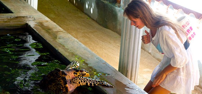 A woman from Srilanka is petting a turtle.