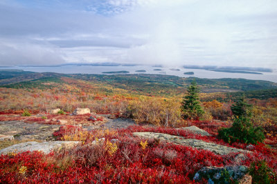 The view from the top of a mountain during fall.