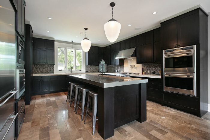Modern-kitchen-with-black-cabinetry