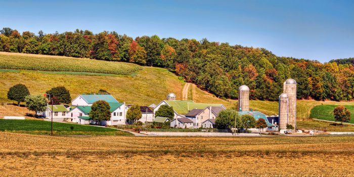 A farm with a silo in the middle of a field offering Fall Leaf Tours.