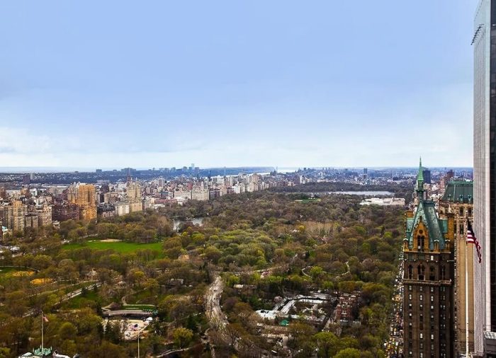 A view of central park from the top of a building.