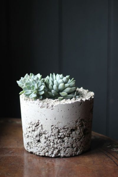 A DIY concrete planter with a succulent.