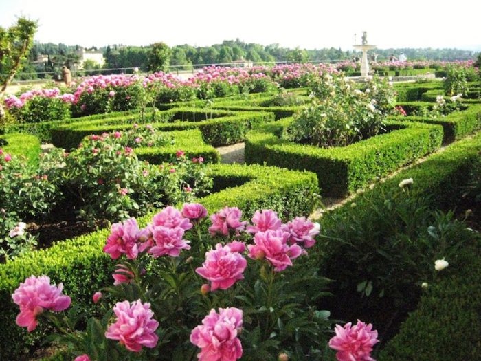 boboli garden rose garden