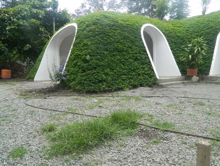Hobbit Homes made out of plants.