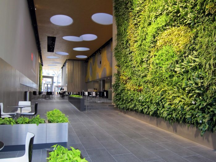 A biophilic green wall in the lobby of a building.