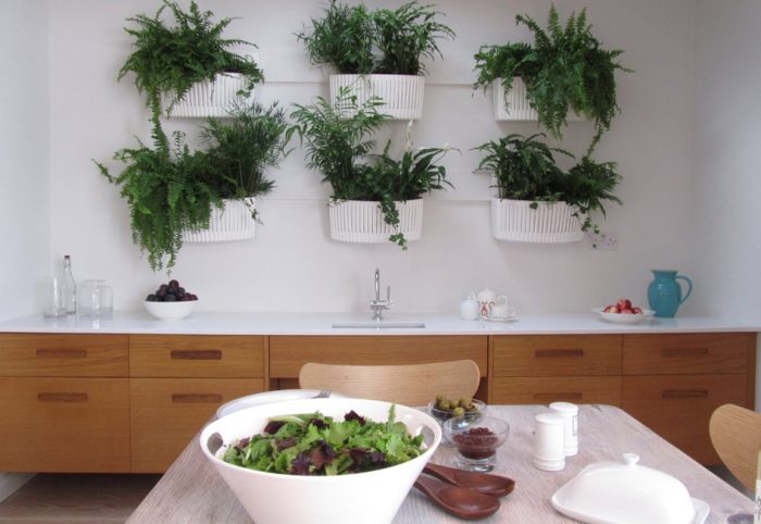 A biophilic kitchen with plants on the wall and a bowl of salad.