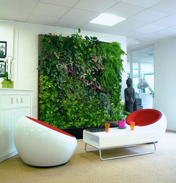 Biophilic Design: A green wall incorporating nature in an office.