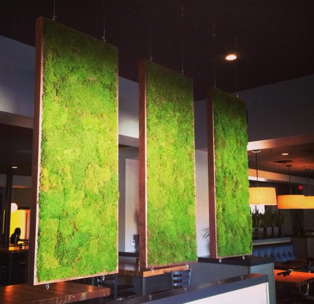 Biophilic Design featuring moss panels hanging from the ceiling in a restaurant.