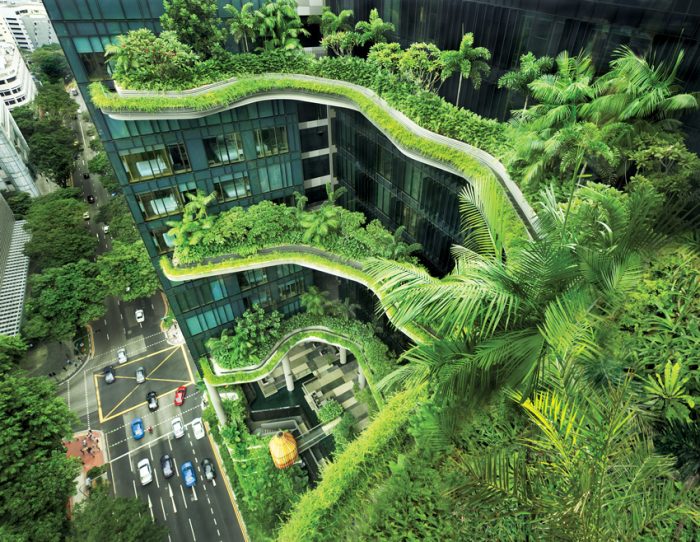 Biophilic Design incorporated in a green roof on top of a building in Singapore.