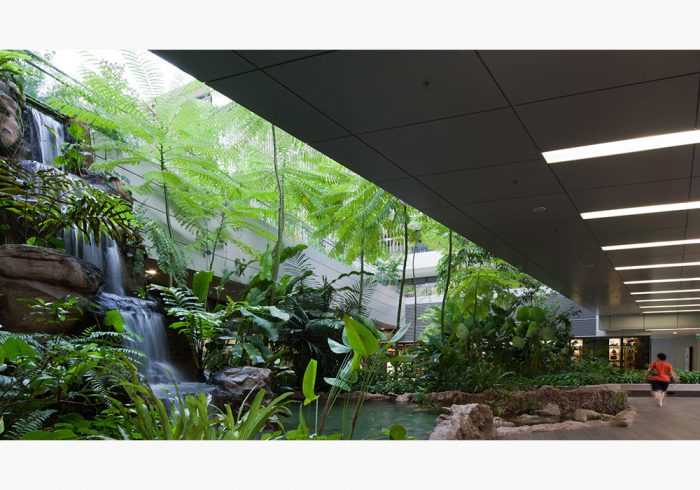 A biophilic design featuring a waterfall within a building.